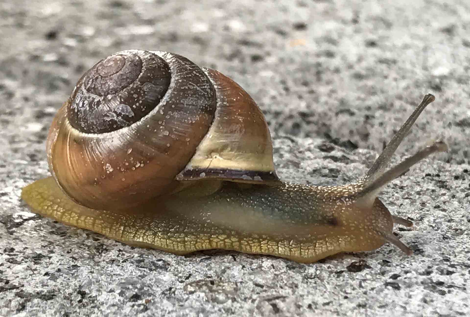 Produkt & Immobilien